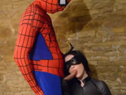 Spiderman kacau kucing berdada